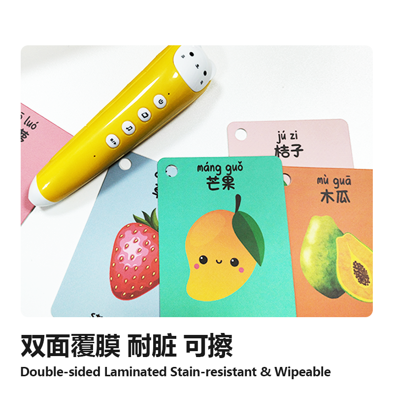 LCA Mandarin Vocabulary Learning Set (302 Flashcards + Reading Pen | 词卡 ...