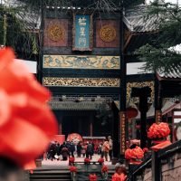 IMG_7770.jpg IMG_7770.jpg