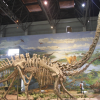 Screenshot-2025-09-07-at-20.03.21.png Screenshot-2025-09-07-at-20.03.21.png